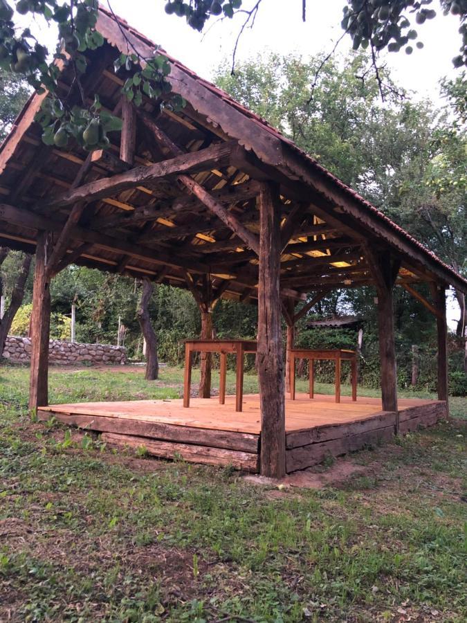 The Carpathian Lodge Runcu  Exterior photo