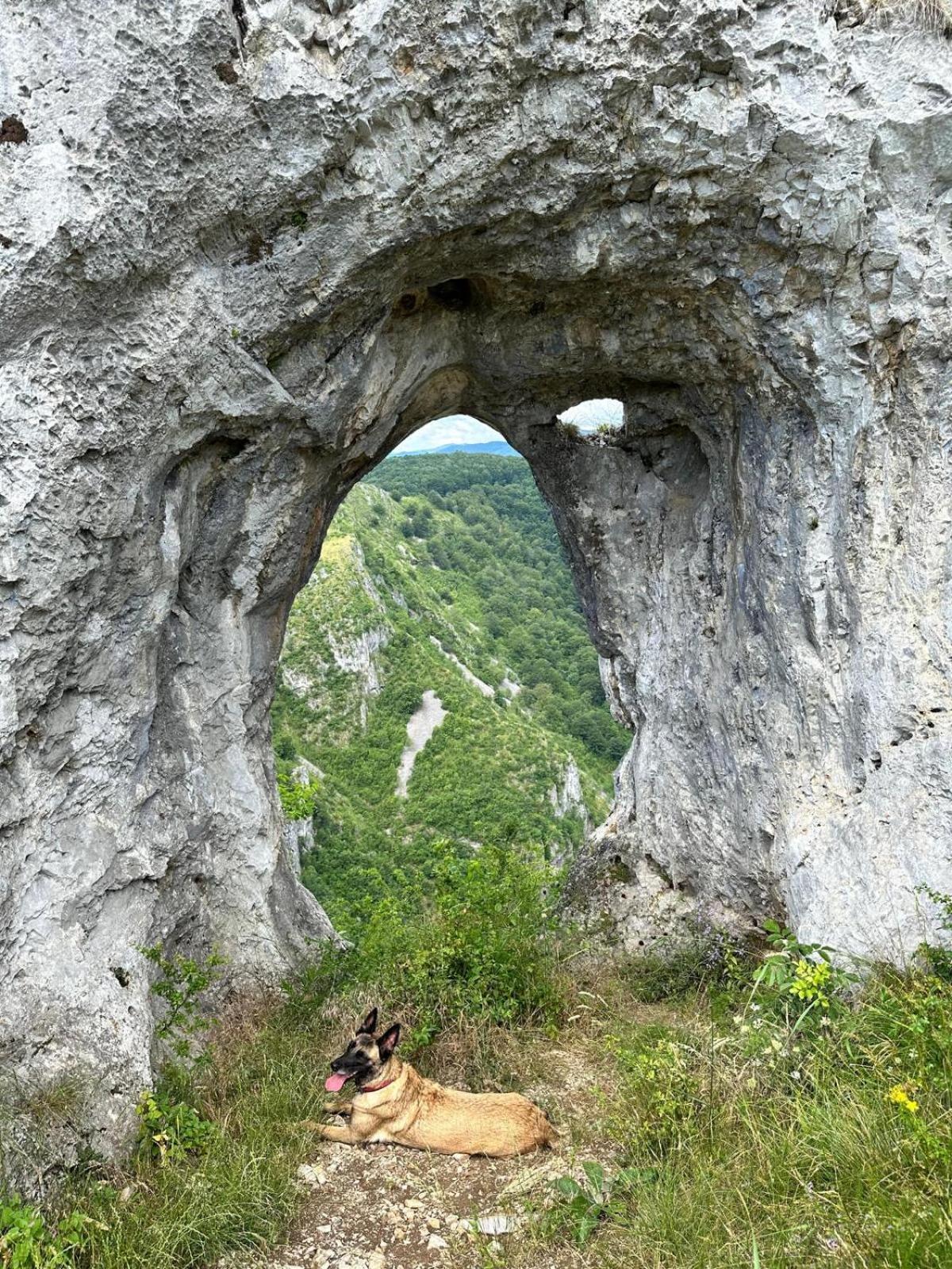 The Carpathian Lodge Runcu  Exterior photo